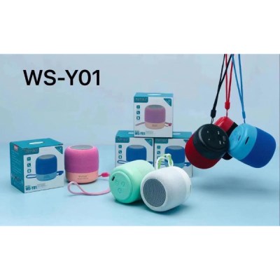 WSTER RADIO WS-Y01-1